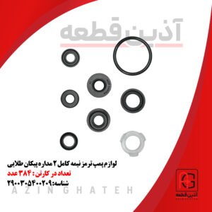 لوازم پمپ ترمز نیمه کامل 2 مداره پیکان طلایی