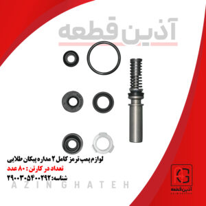 لوازم پمپ ترمز کامل 2 مداره پیکان طلایی